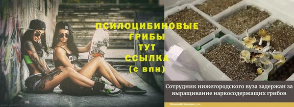 Альфа ПВП Алексеевка