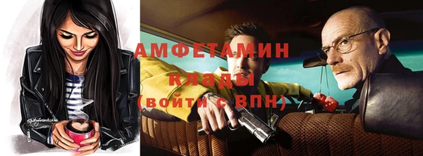 амф Алексин